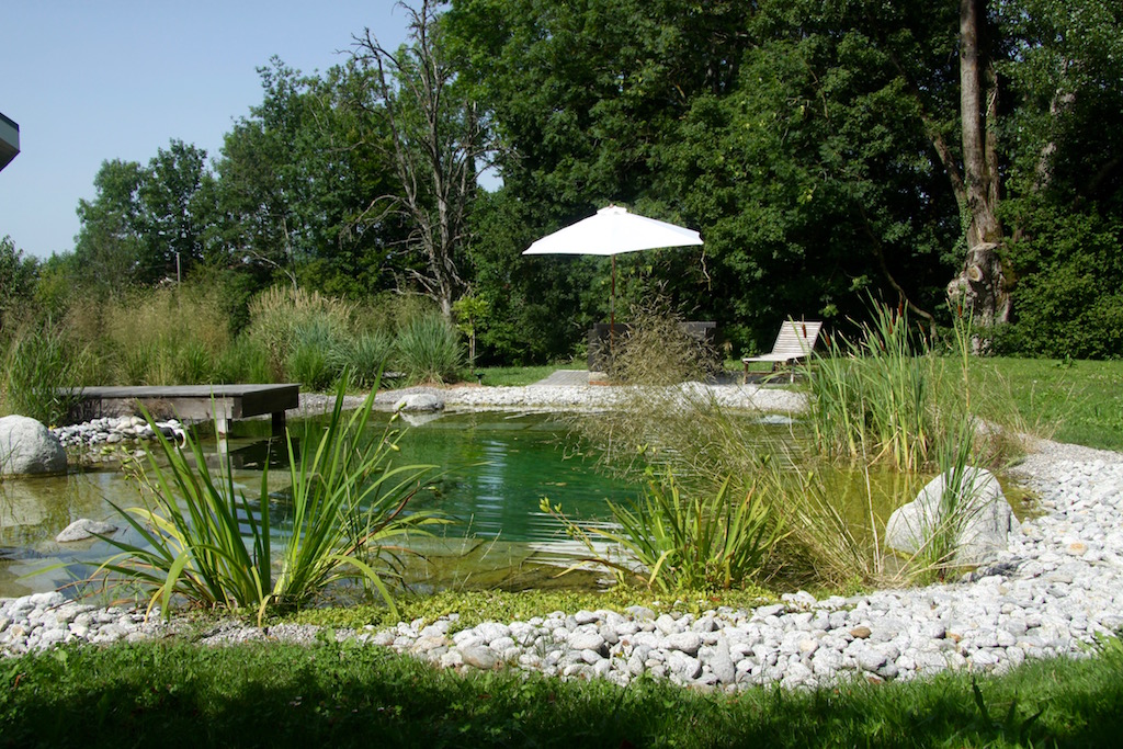 Baignade naturelle paysagère Piscine naturelle Haute Savoie - Baignade naturelle paysagère