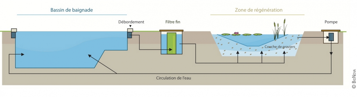 Baignade biologique Haute Savoie - Schéma hydraulique