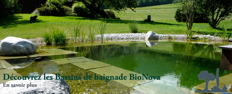 Paysagiste Haute Savoie 74, création de jardin et aménagement paysager à  Thonon et Douvaine