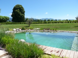 paysagiste haute savoie piscine naturelle