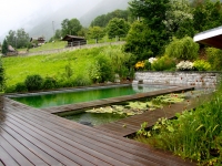 Piscine biologique - Paysagiste Haute Savoie