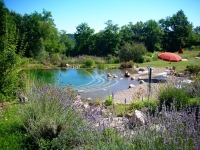 Piscine naturelle - Paysagiste Haute Savoie