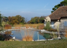 paysagiste thonon les bains bassin baignade